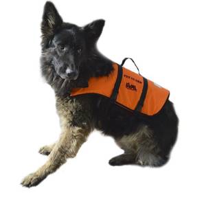 Pet Buoyancy Aid